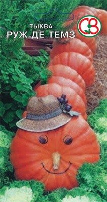 Тыква Руж де Темз (10 г) - 1