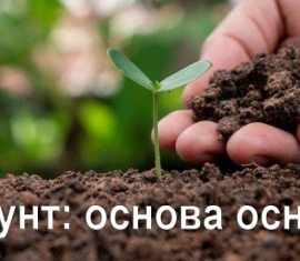 Ґрунт: основа основ