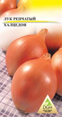 Цибуля ріпчаста Халцедон (10 г) - 1