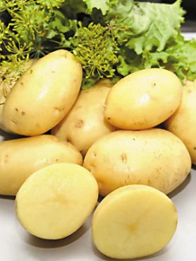 Картопля Коломба (1 кг)