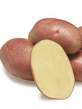 Картопля Еволюшн (2,5 кг)