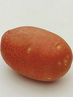 Картопля Ред Скарлет (1 кг)