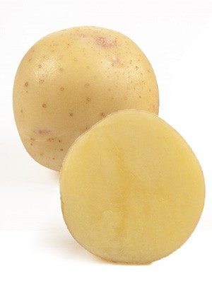Картопля Электра - 1