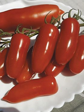 Томат колекційний ЧЕРЕВИЧКИ (30 шт)