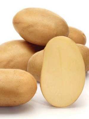 Картопля Таїсія (1 кг) - 1