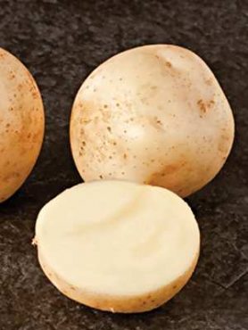 Картопля Ланорма (1 кг)