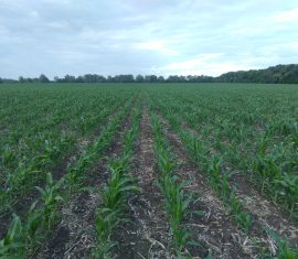 Чи може ґрунт втомитися? (Частина 1)