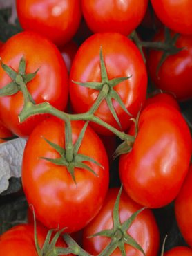 Томат Джина (0,3 г)