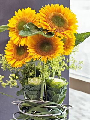 Подсолнечник однолетний Sunrich Gold F1 (10 шт)
