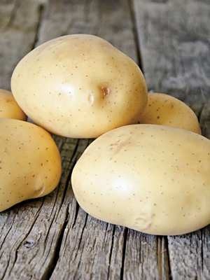 Картофель Коннект (5 кг) - 1