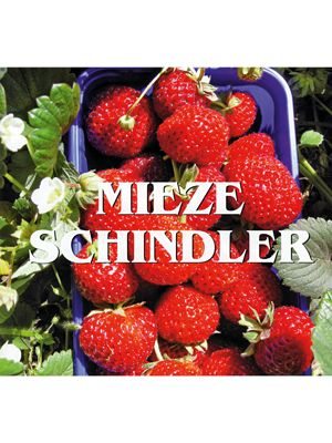 Суниця великоплідна (полуниця) Mieze Schindler (5 шт) - 1