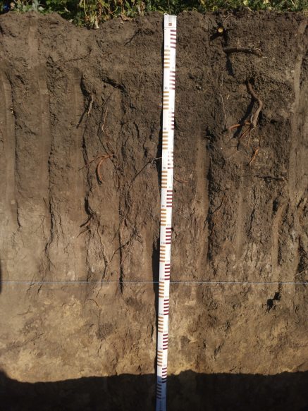 10 фактів про українські ґрунти