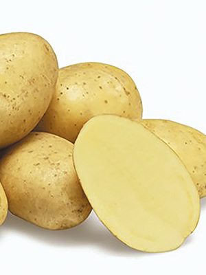 Картофель Раноми (5 кг) - 1