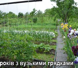 20 років з вузькими грядками