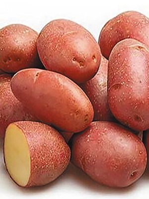 Картопля Алюетт (5 кг) - 1