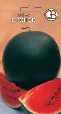 Кавун Огоньок (10 г) - 1
