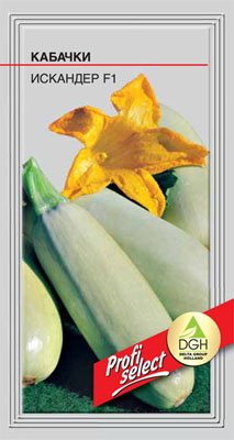 Кабачок Искандер F1 (7 шт) - 1