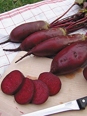 Свекла столовая Ренова (50 г) - 1