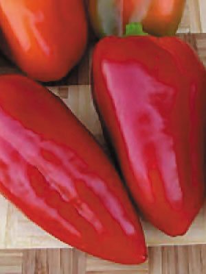 Перець солодкий Сандра - 1