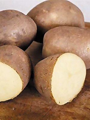 Картопля Інноватор (1 кг) - 1