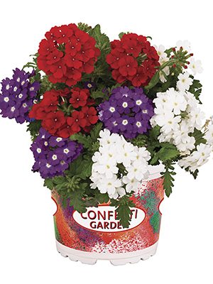 Набор Confetti Garden Linda Liberty (1 шт) - 1