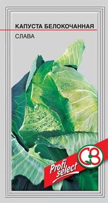 Капуста білокачанна середньостигла Слава (10 г) - 1