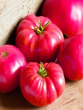 Томат Картопляний малиновий (0,3 г)