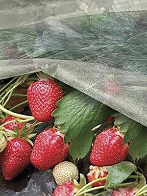 Агротканина, щільність 17 г/м2, ширина 3,2 м, 10 м, біла (1 шт) - 1