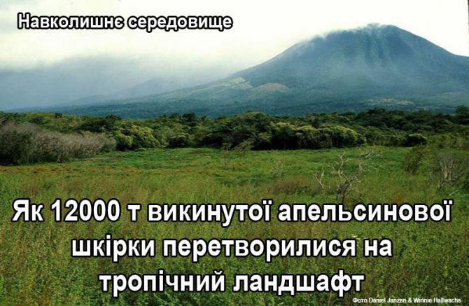 Як 12000 т викинутої апельсинової шкірки перетворилися на тропічний ландшафт Як 12000 т викинутої апельсинової шкірки перетворилися на тропічний ландшафт