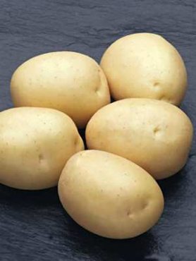 Картопля Наташа (1 кг)
