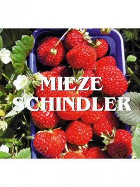 Суниця великоплідна (полуниця) Mieze Schindler (5 шт)