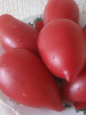 Томат колекційний Глорія (30 шт)